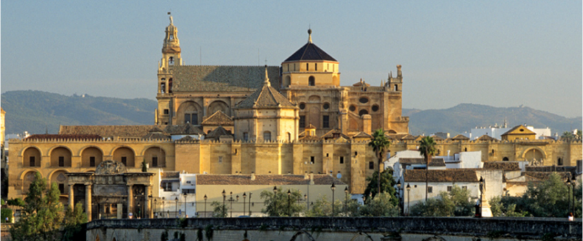 Control de Termitas en Catedral Mezquita de Córdoba